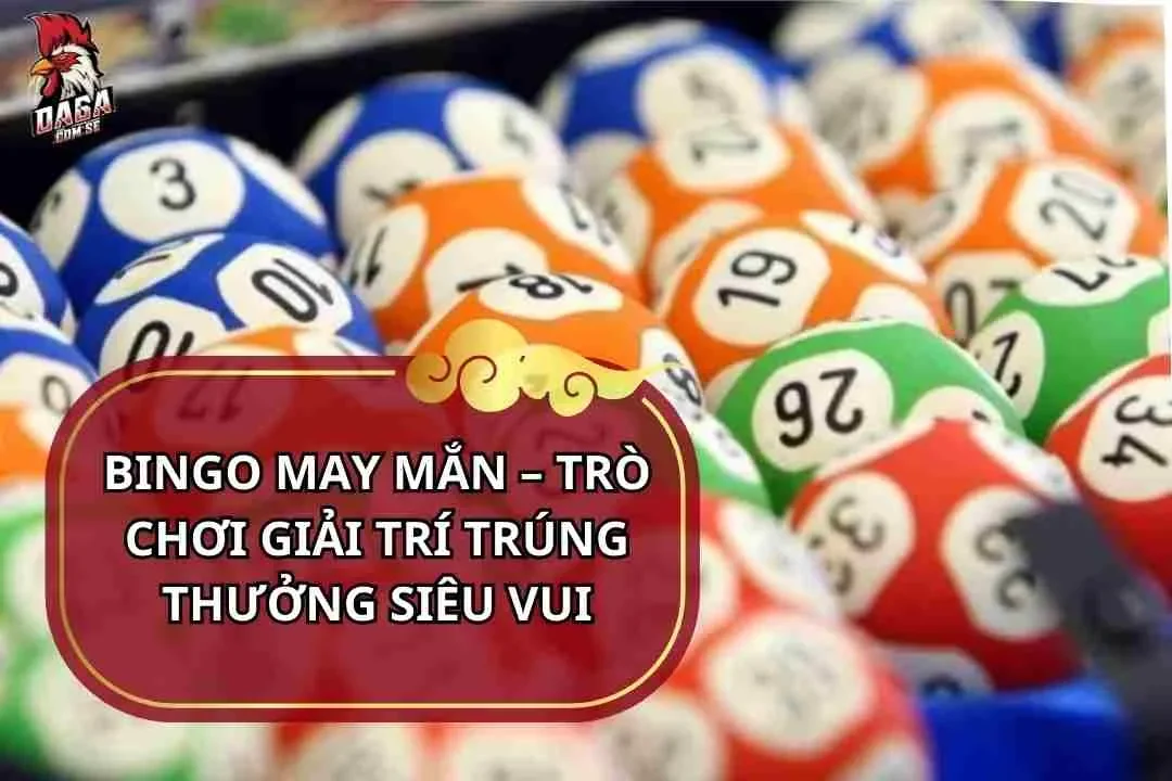 bingo-may-man