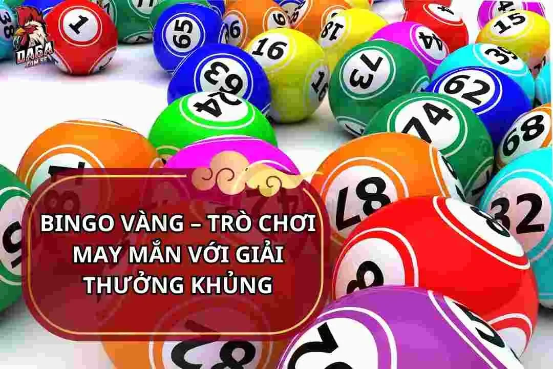 bingo-vang