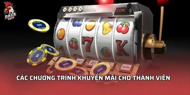 cac-chuong-trinh-khuyen-mai-cho-thanh-vien