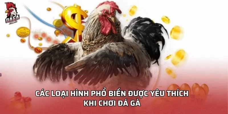 cac-loai-hinh-pho-bien