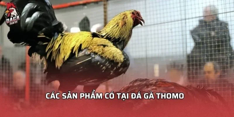 cac-san-pham-co-tai-da-ga-thomo