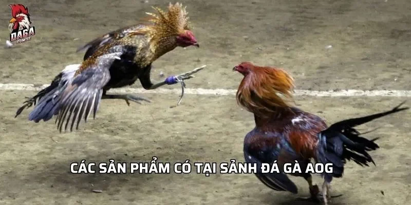cac-san-pham-co-tai-sanh-da-ga-aog
