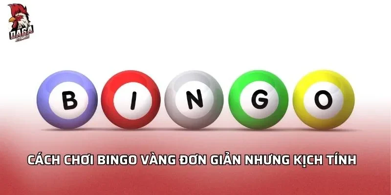 cach-choi-bingo-vang-don-gian-nhung-kich-tinh