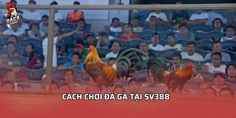 cach-choi-da-ga-tai-sv388