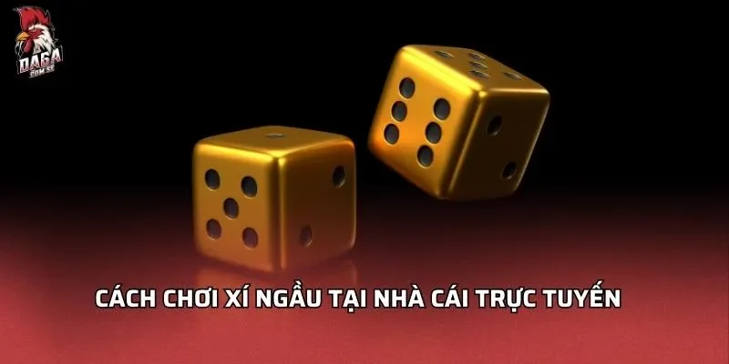 Cách chơi xí ngầu tại nhà cái trực tuyến
