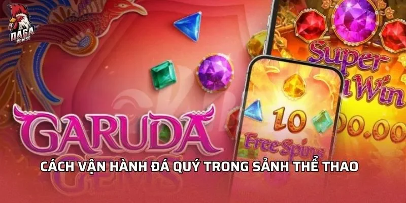 cach-van-hanh-da-quy-trong-sanh-the-thao