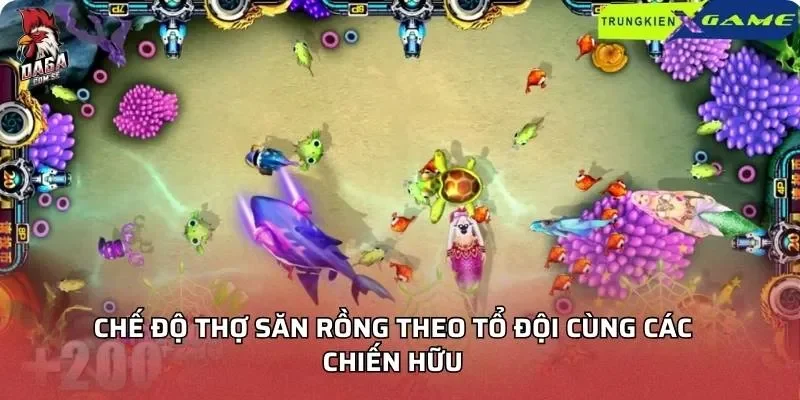 che-do-tho-san-rong-theo-to-doi