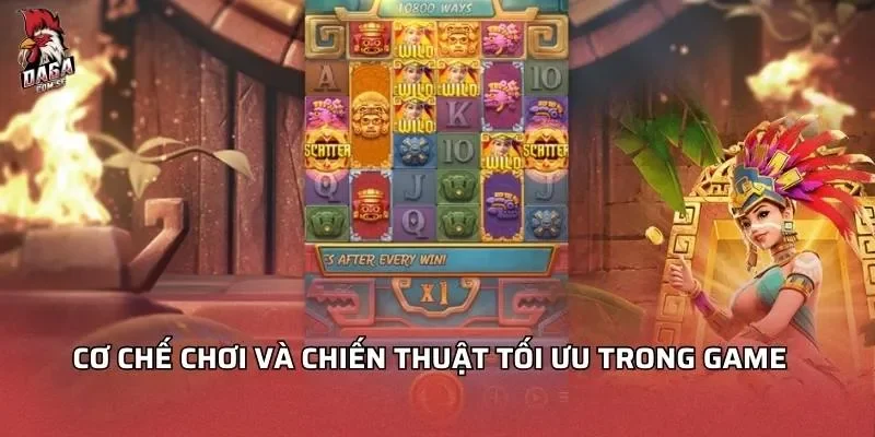 co-che-choi-nu-than-te-aztec