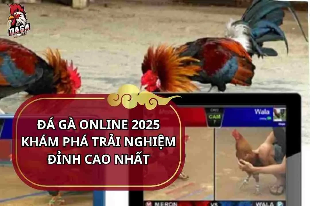 đá gà online 2025