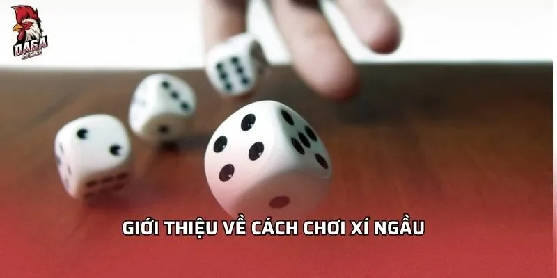 Giới thiệu về cách chơi xí ngầu