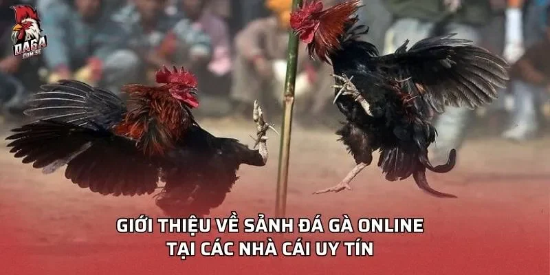 đá gà online 2025