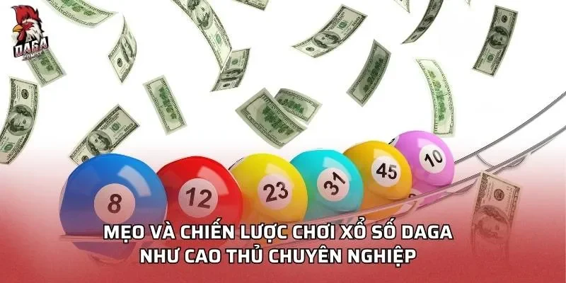 meo-va-chien-luoc-choi-xo-so-daga