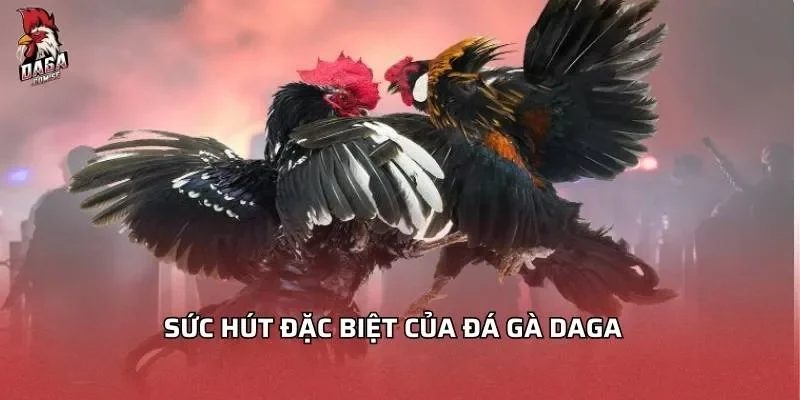 suc-hut-dac-biet-cua-da-ga-daga