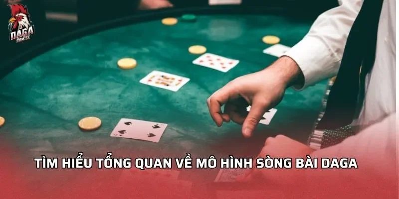 tim-hieu-tong-quan-ve-mo-hinh