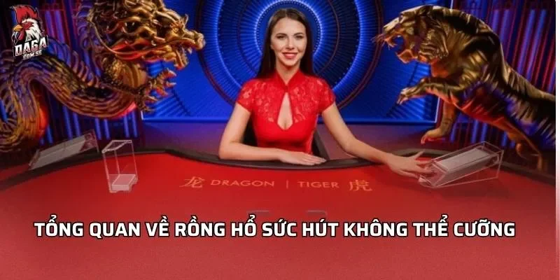 tong-quan-ve-rong-ho