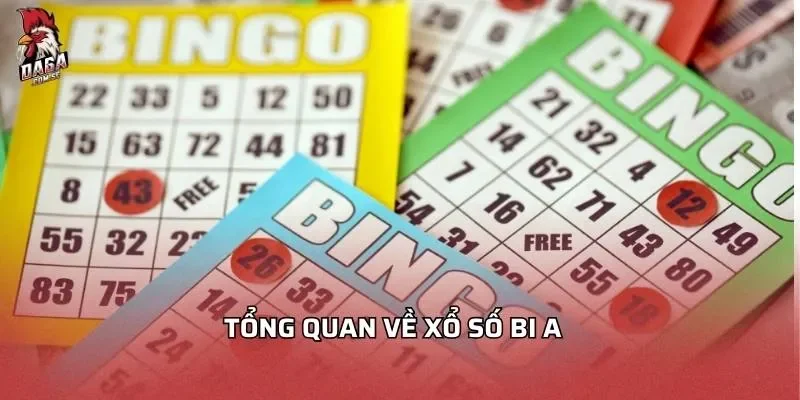 tong-quan-ve-xo-so-bi-a