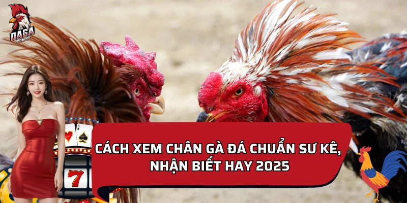 cách xem chân gà đá