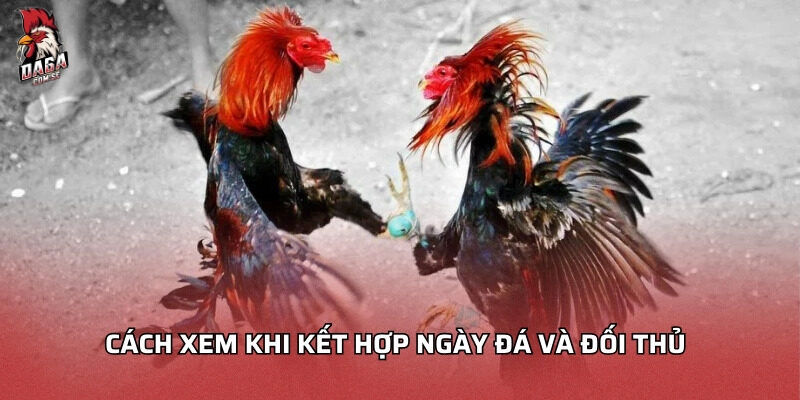 Cách xem khi kết hợp ngày đá và đối thủ