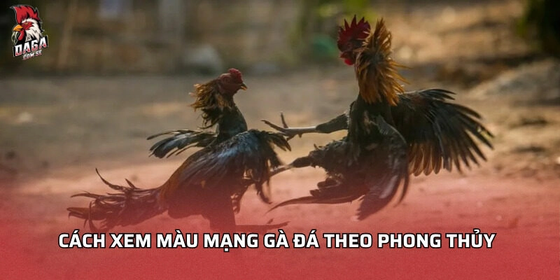 Cách xem màu mạng gà đá theo phong thủy