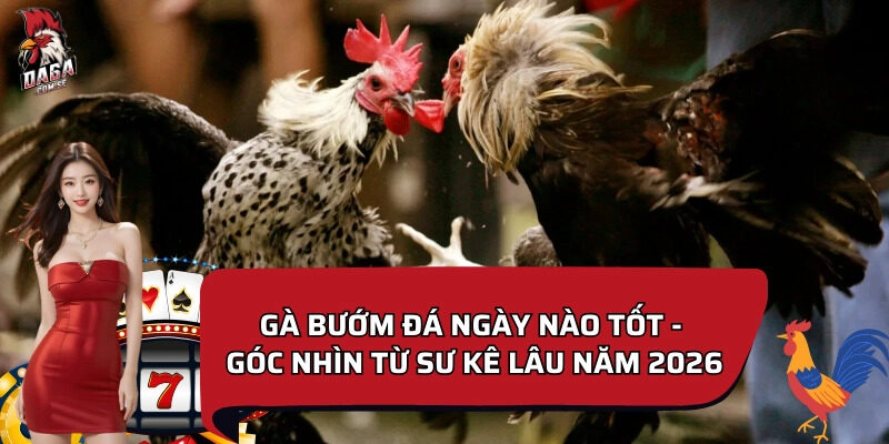 gà bướm đá ngày nào tốt​