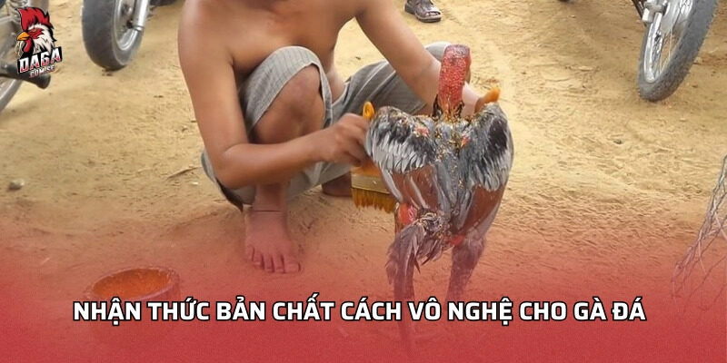 cách vô nghệ cho gà đá
